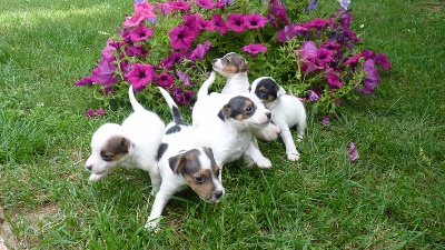 1ère SORTIE DANS LE JARDIN DES BEBES !!!!!!!!!